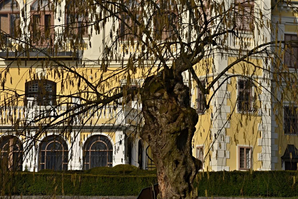 Penzion pri Kastieli Betliar Esterno foto